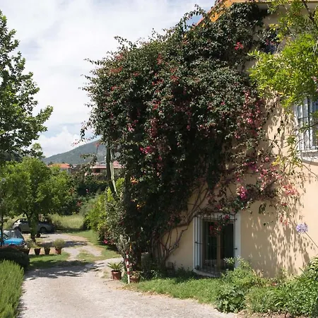 La Casa Dei Gelsi Bed and breakfast 3*